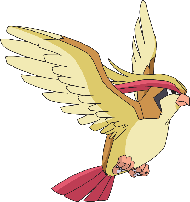 pidgeot