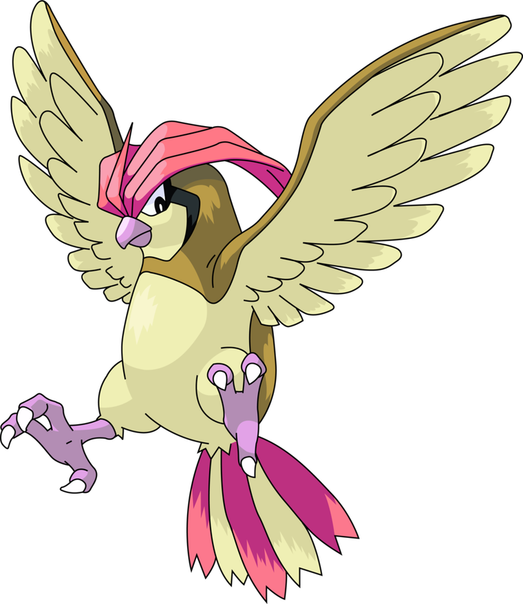 pidgeotto