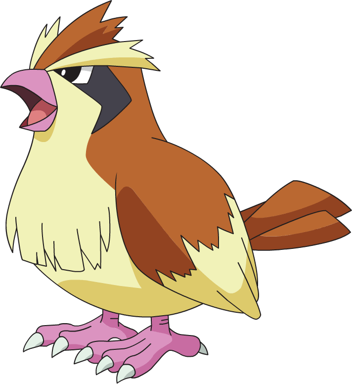 pidgey