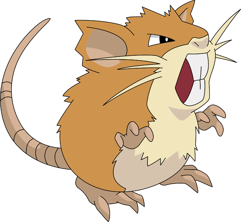 raticate